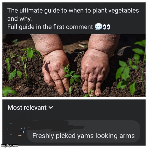 image tagged in vegetables,yams,arms | made w/ Imgflip meme maker