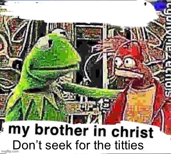 My brother in Christ | Don’t seek for the titties | image tagged in my brother in christ | made w/ Imgflip meme maker