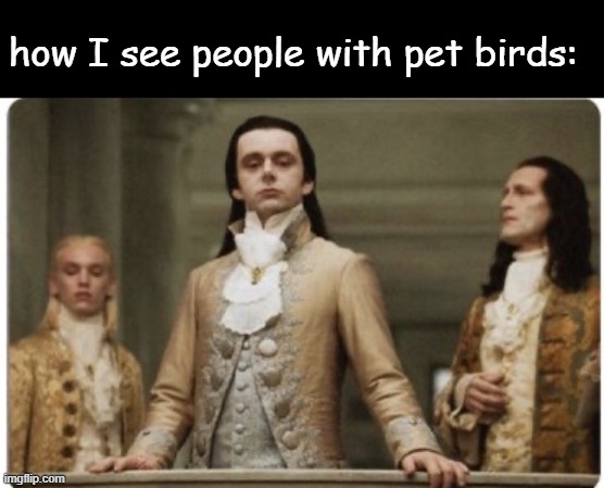 Superior Royalty | how I see people with pet birds: | image tagged in superior royalty | made w/ Imgflip meme maker