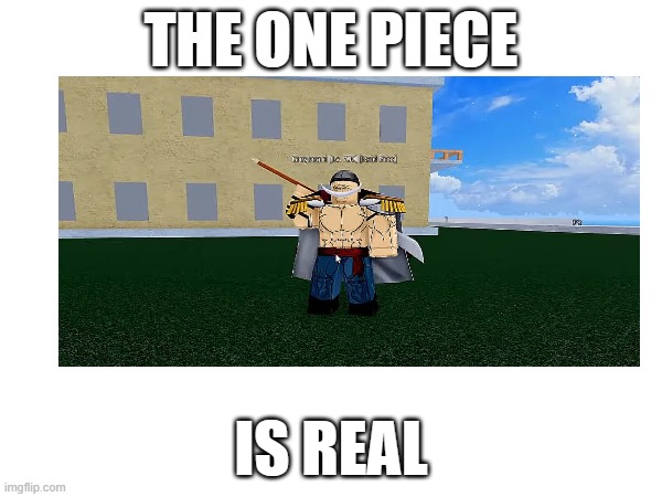 Technicaly the truth meme | THE ONE PIECE; IS REAL | image tagged in one piece meme | made w/ Imgflip meme maker