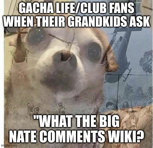 PTSD Chihuahua | GACHA LIFE/CLUB FANS WHEN THEIR GRANDKIDS ASK; "WHAT THE BIG NATE COMMENTS WIKI? | image tagged in ptsd chihuahua | made w/ Imgflip meme maker