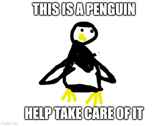 Comment name suggestions | THIS IS A PENGUIN; HELP TAKE CARE OF IT | image tagged in blank white template | made w/ Imgflip meme maker