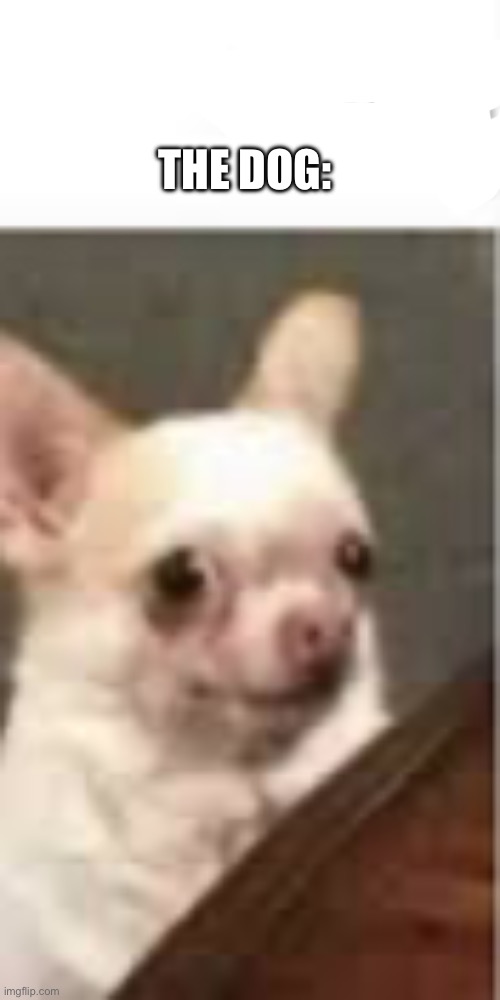 THE DOG: | made w/ Imgflip meme maker