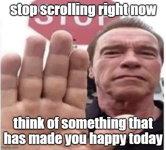 happiness hour ♥️♥️♥️ | stop scrolling right now; think of something that has made you happy today | image tagged in stop scrolling arnold | made w/ Imgflip meme maker