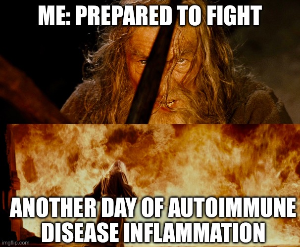 You Shall Not Inflame | ME: PREPARED TO FIGHT; ANOTHER DAY OF AUTOIMMUNE DISEASE INFLAMMATION | image tagged in gandalf,illness,sick,sickness,lord of the rings | made w/ Imgflip meme maker