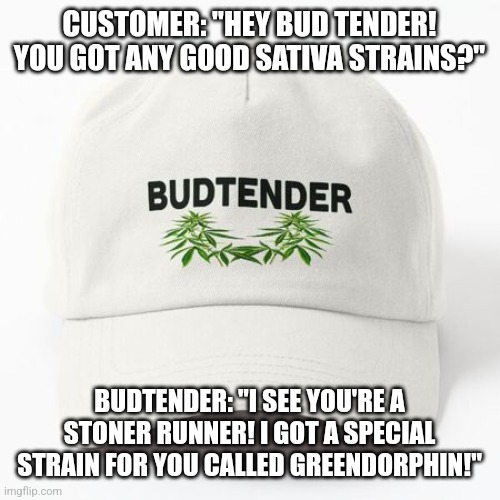 Bud Tender | CUSTOMER: "HEY BUD TENDER! YOU GOT ANY GOOD SATIVA STRAINS?"; BUDTENDER: "I SEE YOU'RE A STONER RUNNER! I GOT A SPECIAL STRAIN FOR YOU CALLED GREENDORPHIN!" | image tagged in bud tender | made w/ Imgflip meme maker