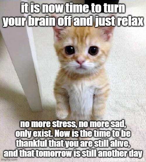 ♥️♥️♥️ | it is now time to turn your brain off and just relax; no more stress, no more sad, only exist. Now is the time to be thankful that you are still alive, and that tomorrow is still another day | image tagged in memes,cute cat | made w/ Imgflip meme maker