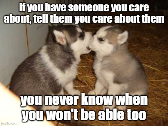 Want an example? I never told my dad I loved him, and now I can't. Tell the people you love that you love them. | if you have someone you care about, tell them you care about them; you never know when you won't be able too | image tagged in memes,cute puppies | made w/ Imgflip meme maker