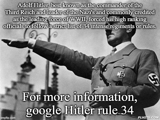 do it now | Adolf Hitler, best known as the commander of the Third Reich and leader of the Nazi's and commonly credited as the leading force of WWII, forced his high ranking officials to follow a strict list of 34 intense regiments or rules. For more information, google Hitler rule 34 | image tagged in hitler | made w/ Imgflip meme maker