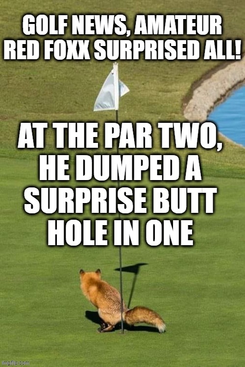Golf | GOLF NEWS, AMATEUR RED FOXX SURPRISED ALL! | made w/ Imgflip meme maker