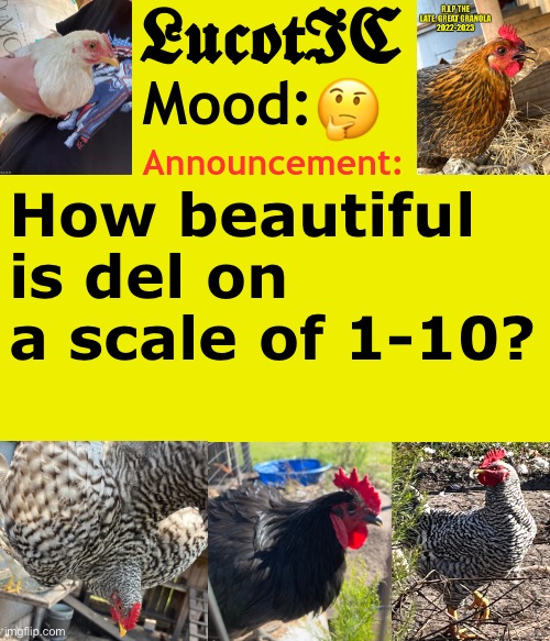 . | 🤔; How beautiful is del on a scale of 1-10? | image tagged in lucotic's cocks announcement template | made w/ Imgflip meme maker