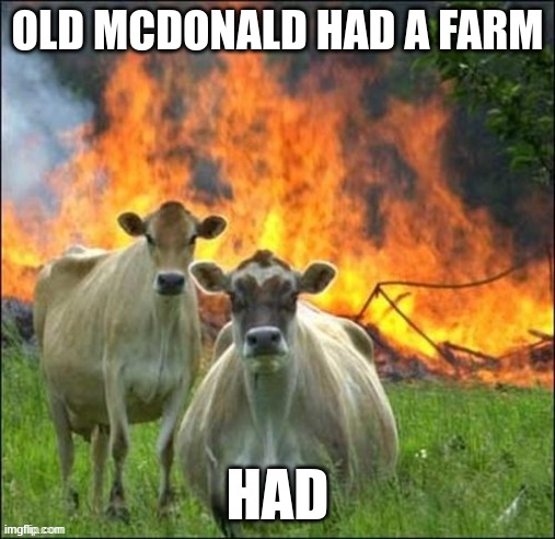cows | OLD MCDONALD HAD A FARM; HAD | image tagged in funny,fun,meme,viral,gifs | made w/ Imgflip meme maker