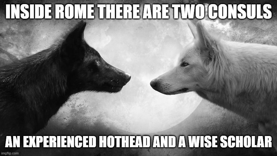roma | INSIDE ROME THERE ARE TWO CONSULS; AN EXPERIENCED HOTHEAD AND A WISE SCHOLAR | image tagged in you have two wolves | made w/ Imgflip meme maker