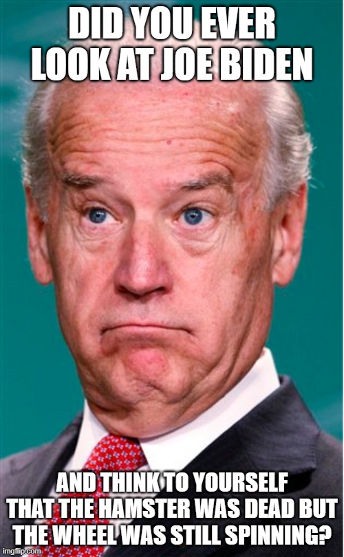 The Hamster Is Dead | DID YOU EVER LOOK AT JOE BIDEN; AND THINK TO YOURSELF THAT THE HAMSTER WAS DEAD BUT THE WHEEL WAS STILL SPINNING? | image tagged in biden,moron,pootus,joe,potus | made w/ Imgflip meme maker