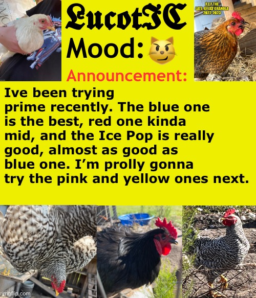 . | 😼; Ive been trying prime recently. The blue one is the best, red one kinda mid, and the Ice Pop is really good, almost as good as blue one. I’m prolly gonna try the pink and yellow ones next. | image tagged in lucotic's cocks announcement template | made w/ Imgflip meme maker