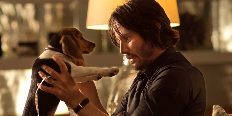 High Quality John Wick's Promise to his dog Blank Meme Template