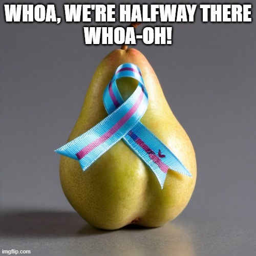 Ribbon On A Pear | WHOA, WE'RE HALFWAY THERE
WHOA-OH! | image tagged in bon jovi,80s music | made w/ Imgflip meme maker