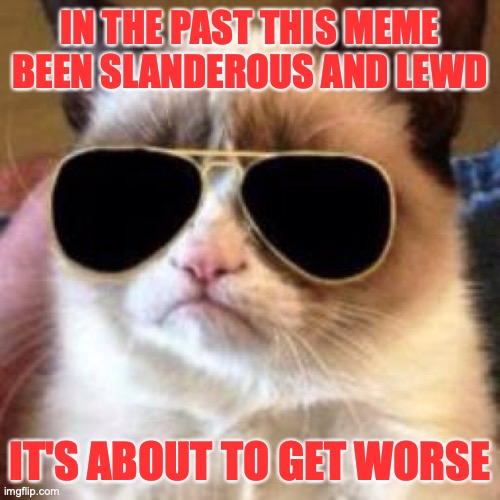 Grumpy Cool Cat | IN THE PAST THIS MEME BEEN SLANDEROUS AND LEWD; IT'S ABOUT TO GET WORSE | image tagged in grumpy cat incognito | made w/ Imgflip meme maker