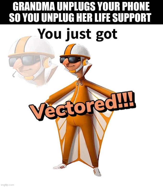 ha | GRANDMA UNPLUGS YOUR PHONE SO YOU UNPLUG HER LIFE SUPPORT | image tagged in you just got vectored | made w/ Imgflip meme maker