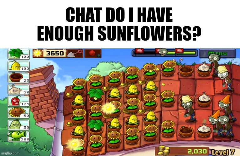 I lost the match but I got the "sunny day" achievement | CHAT DO I HAVE ENOUGH SUNFLOWERS? | image tagged in pvz,kernel pult,sunflowers,roof | made w/ Imgflip meme maker
