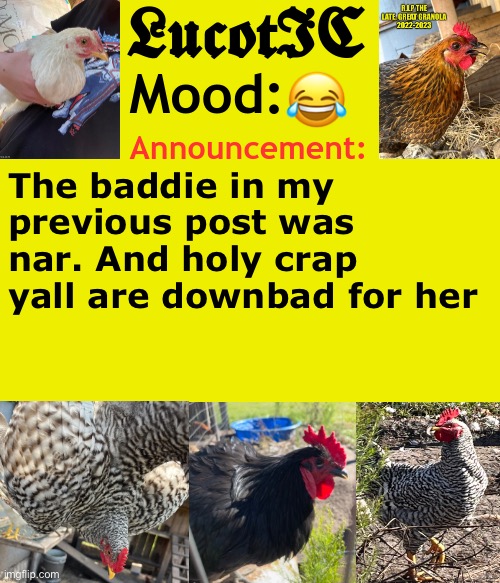 . | 😂; The baddie in my previous post was nar. And holy crap yall are downbad for her | image tagged in lucotic's cocks announcement template | made w/ Imgflip meme maker