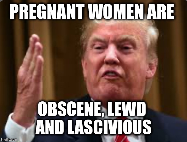 PREGNANT WOMEN ARE; OBSCENE, LEWD 
AND LASCIVIOUS | image tagged in memes,pro-life,women's rights,violence against women,christians,josef mengele | made w/ Imgflip meme maker