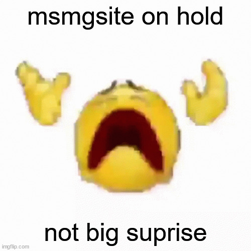 :nooo: | msmgsite on hold; not big suprise | image tagged in nooo | made w/ Imgflip meme maker
