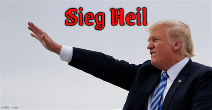 Say hi y'all | Sieg Heil | image tagged in trump,adolf hitler,sieg heil,nazi,fascist,maga nazis | made w/ Imgflip meme maker