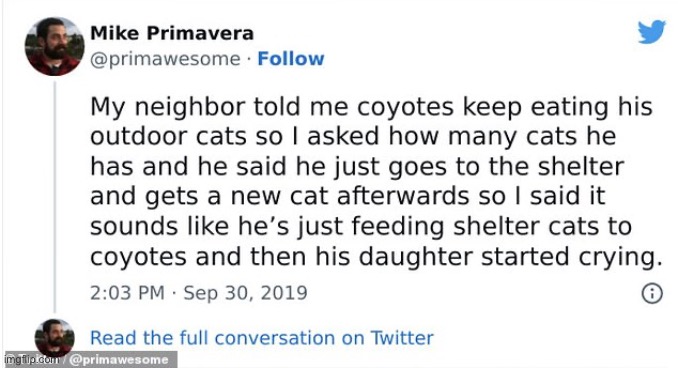 kind of badly phrased ngl | image tagged in cats,coyote,eating | made w/ Imgflip meme maker