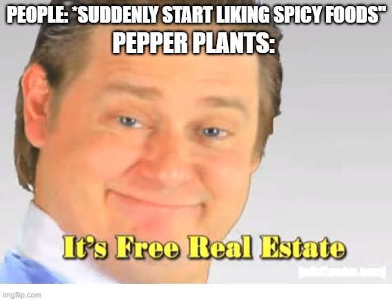 jalapenos forever | PEOPLE: *SUDDENLY START LIKING SPICY FOODS"; PEPPER PLANTS: | image tagged in it's free real estate | made w/ Imgflip meme maker