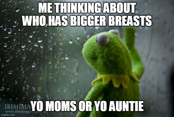 Me thinking about who has bigger breasts | ME THINKING ABOUT WHO HAS BIGGER BREASTS; YO MOMS OR YO AUNTIE | image tagged in kermit window,funny,auntie,mom,breasts,milkers | made w/ Imgflip meme maker