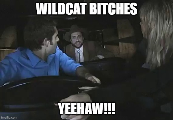 Always Sunny Wildcard | WILDCAT BITCHES; YEEHAW!!! | image tagged in always sunny wildcard | made w/ Imgflip meme maker