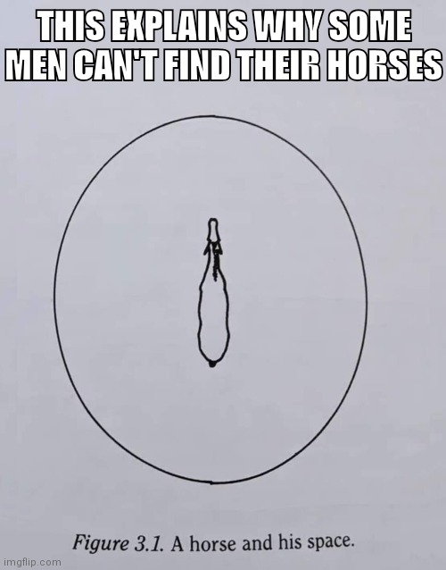 THIS EXPLAINS WHY SOME MEN CAN'T FIND THEIR HORSES | image tagged in horse,horses,meme,memes | made w/ Imgflip meme maker