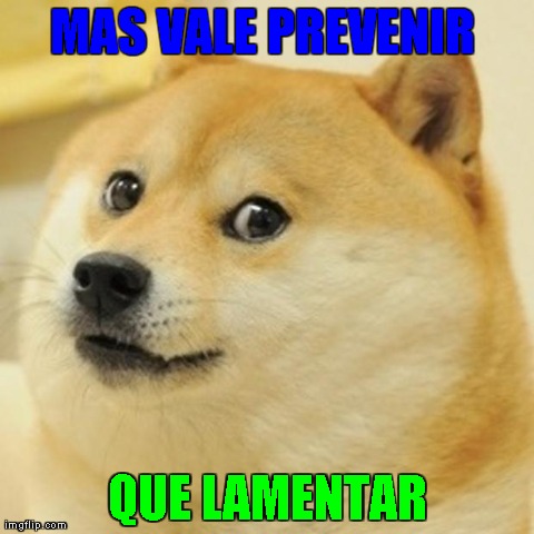 Doge Meme | MAS VALE PREVENIR  QUE LAMENTAR | image tagged in memes,doge | made w/ Imgflip meme maker