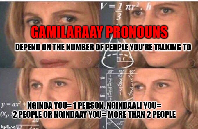 GAMILARAAY PRONOUNS | GAMILARAAY PRONOUNS; DEPEND ON THE NUMBER OF PEOPLE YOU'RE TALKING TO; NGINDA YOU= 1 PERSON. NGINDAALI YOU= 2 PEOPLE OR NGINDAAY YOU= MORE THAN 2 PEOPLE | image tagged in math lady/confused lady | made w/ Imgflip meme maker