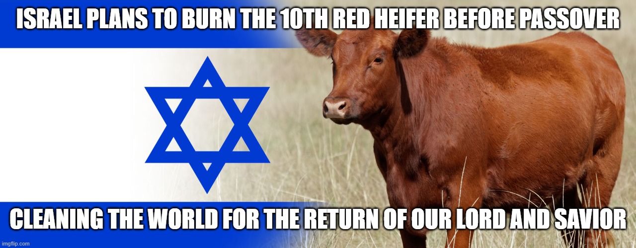 Israel plans to bring on the end of days | ISRAEL PLANS TO BURN THE 10TH RED HEIFER BEFORE PASSOVER; CLEANING THE WORLD FOR THE RETURN OF OUR LORD AND SAVIOR | image tagged in israel,armageddon,apocalypse,bible,old testament,palestine | made w/ Imgflip meme maker