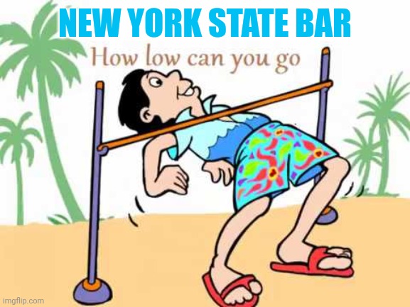 how low can you go | NEW YORK STATE BAR | image tagged in how low can you go | made w/ Imgflip meme maker