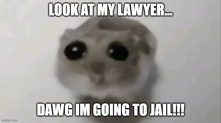Sad Hamster | LOOK AT MY LAWYER... DAWG IM GOING TO JAIL!!! | image tagged in sad hamster | made w/ Imgflip meme maker