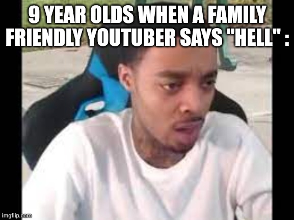 It's not that bad | 9 YEAR OLDS WHEN A FAMILY FRIENDLY YOUTUBER SAYS "HELL" : | image tagged in flight reacts | made w/ Imgflip meme maker