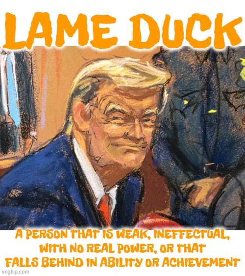 LAME DUCK | LAME DUCK; A PERSON THAT IS WEAK, INEFFECTUAL, WITH NO REAL POWER, OR THAT FALLS BEHIND IN ABILITY OR ACHIEVEMENT | image tagged in lame duck,weak,loser,failure,incompetent,dumb ass | made w/ Imgflip meme maker