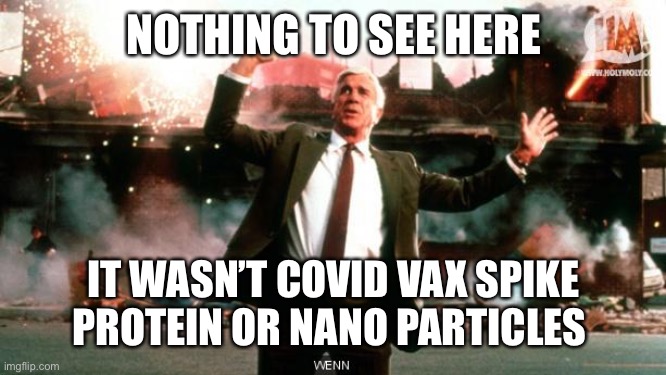 Nothing to See Here | NOTHING TO SEE HERE IT WASN’T COVID VAX SPIKE PROTEIN OR NANO PARTICLES | image tagged in nothing to see here | made w/ Imgflip meme maker