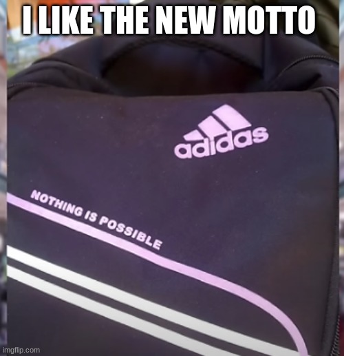 Adidas nothing is possible | I LIKE THE NEW MOTTO | image tagged in knock off products | made w/ Imgflip meme maker