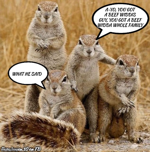 You Got A Problem? | A-YO, YOU GOT A BEEF WIDDIS GUY, YOU GOT A BEEF WIDDA WHOLE FAMILY; WHAT HE SAID; Ron.Jensen.10 on FB | image tagged in bullying,bully,how tough are you,tough guy,squirrel,squirrels | made w/ Imgflip meme maker