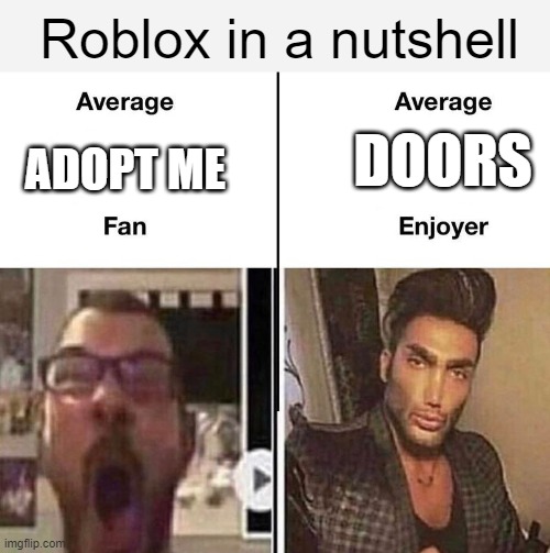 Roblox in a nutshell; DOORS; ADOPT ME | image tagged in doors,roblox,roblox meme | made w/ Imgflip meme maker
