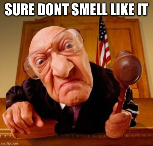 SURE DONT SMELL LIKE IT | image tagged in mean judge | made w/ Imgflip meme maker