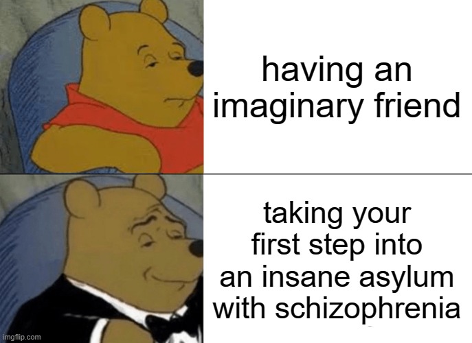 Tuxedo Winnie The Pooh Meme | having an imaginary friend; taking your first step into an insane asylum with schizophrenia | image tagged in memes,tuxedo winnie the pooh | made w/ Imgflip meme maker