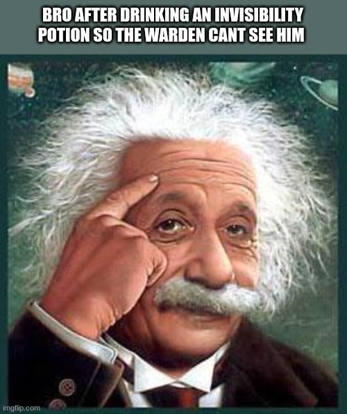 einstein | BRO AFTER DRINKING AN INVISIBILITY POTION SO THE WARDEN CANT SEE HIM | image tagged in einstein,the warden cant see | made w/ Imgflip meme maker