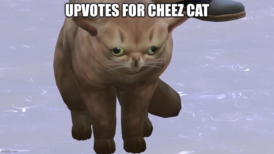 blue chez | UPVOTES FOR CHEEZ CAT | image tagged in blue chez | made w/ Imgflip meme maker