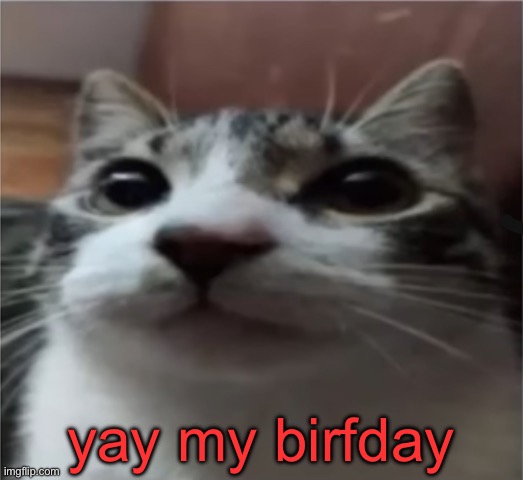 wahoo | yay my birfday | made w/ Imgflip meme maker