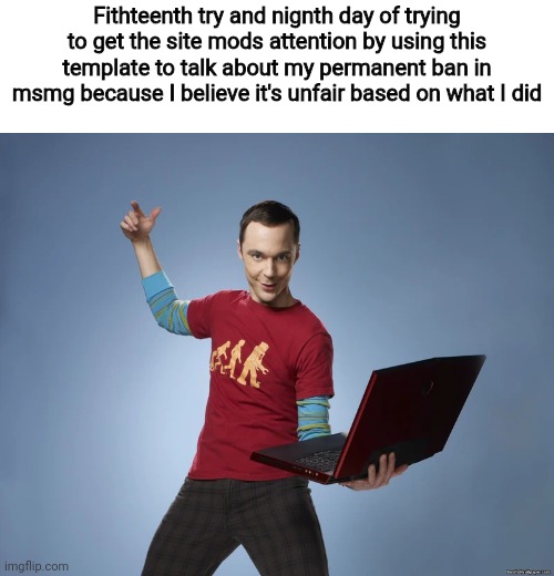 Whoever banned me I want to ask them how long I have to do this before being permanently unbanned | Fithteenth try and nignth day of trying to get the site mods attention by using this template to talk about my permanent ban in msmg because I believe it's unfair based on what I did | image tagged in sheldon cooper laptop | made w/ Imgflip meme maker